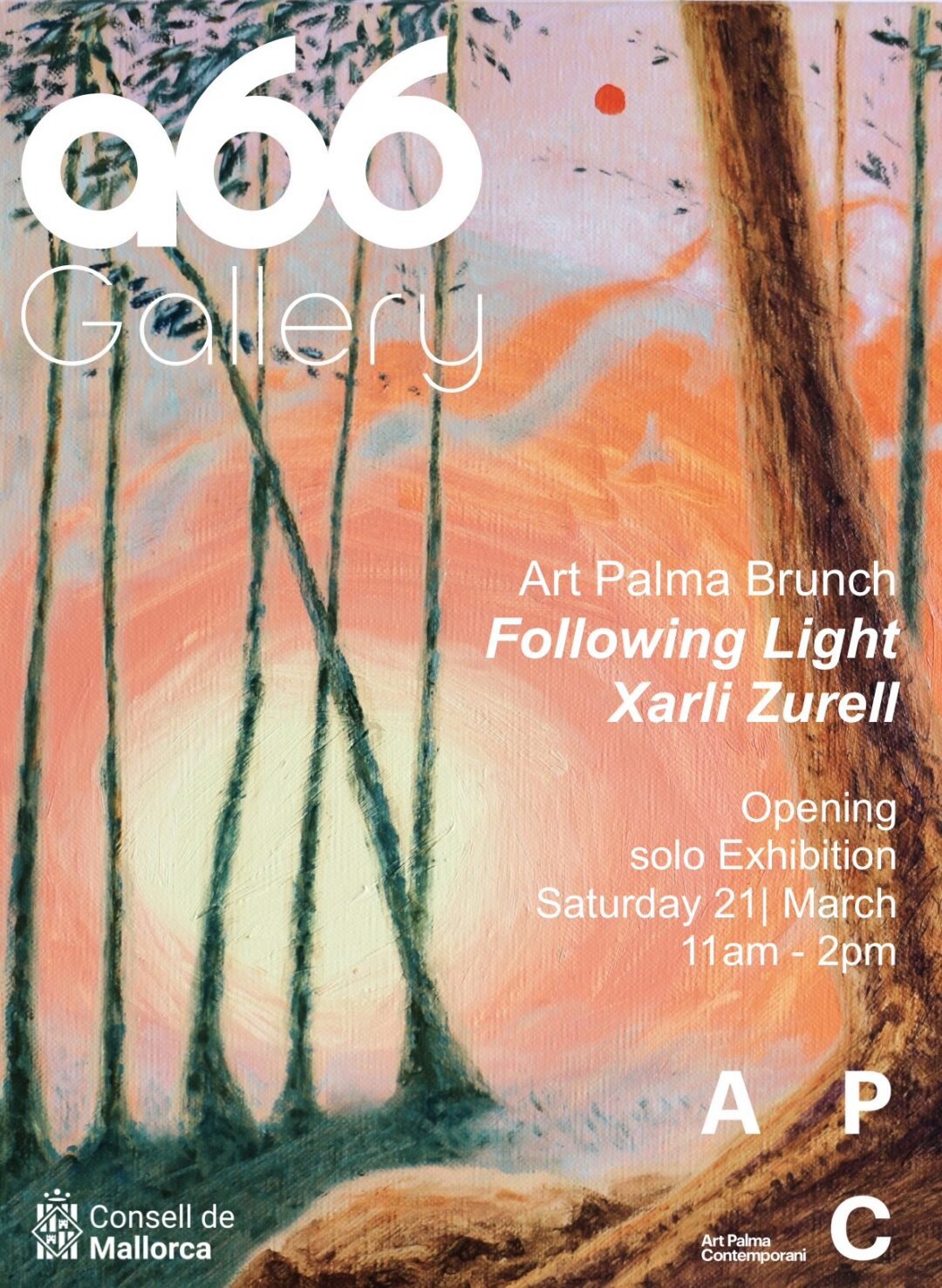 A66Gallery Xarli Zurell Exhibition