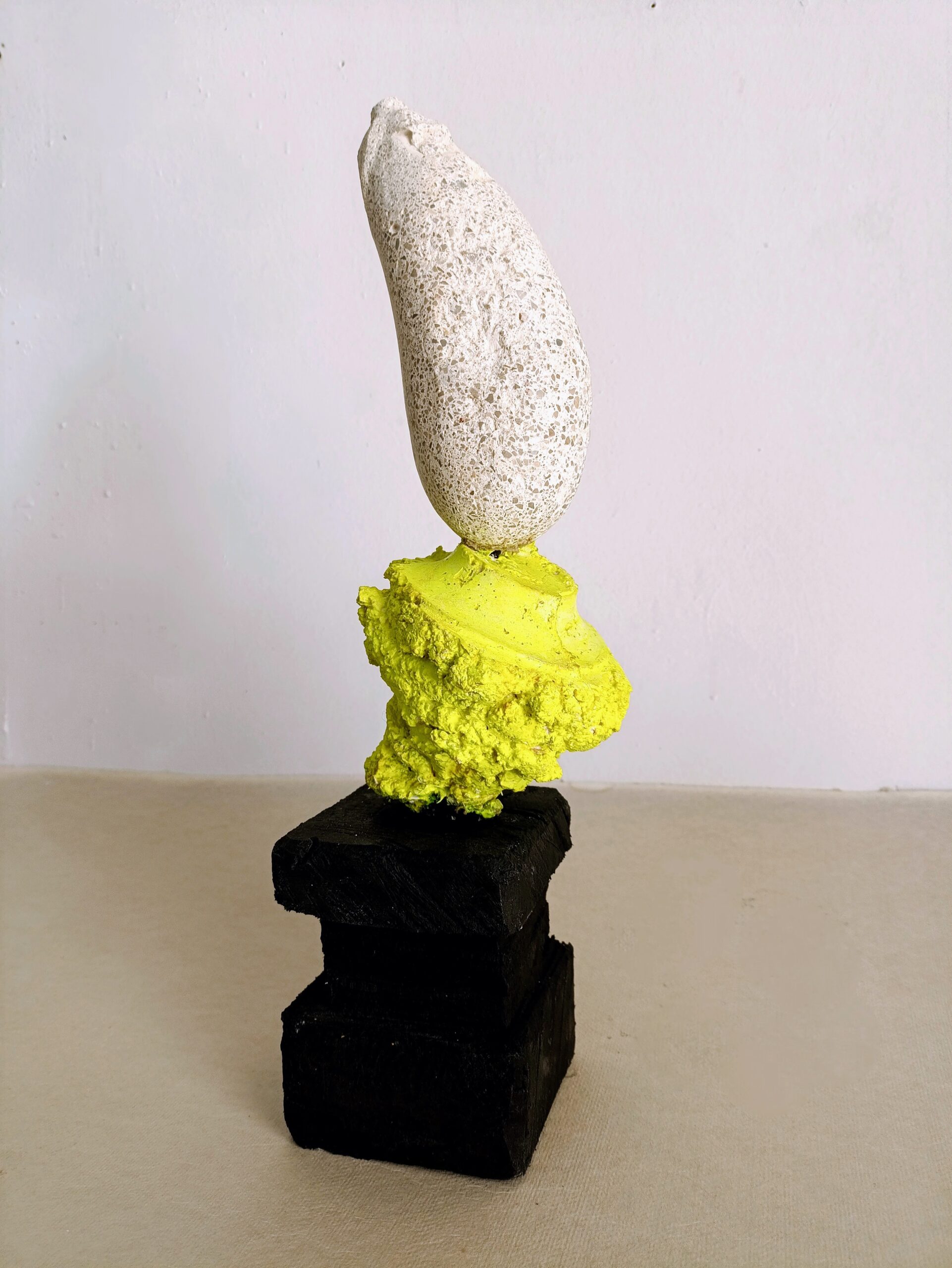 Marcos Juncal eggplant