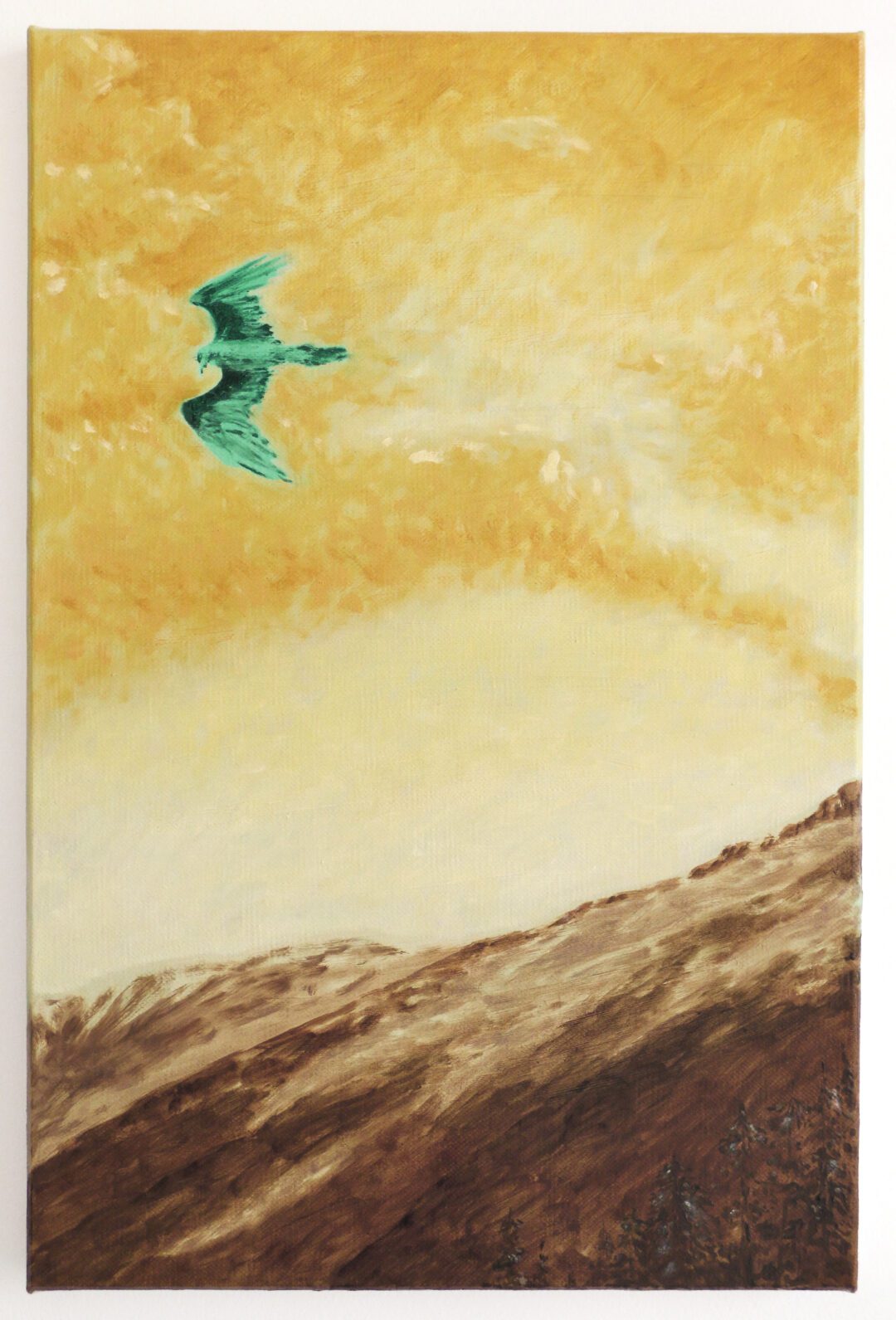 Xarli Zurell 16 Xarli Zurell Soon Sea Sight